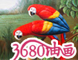 3680�ͮ�