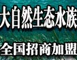 ��֮�����B(t��i)