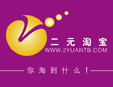 2Ԫ�Ԍ�