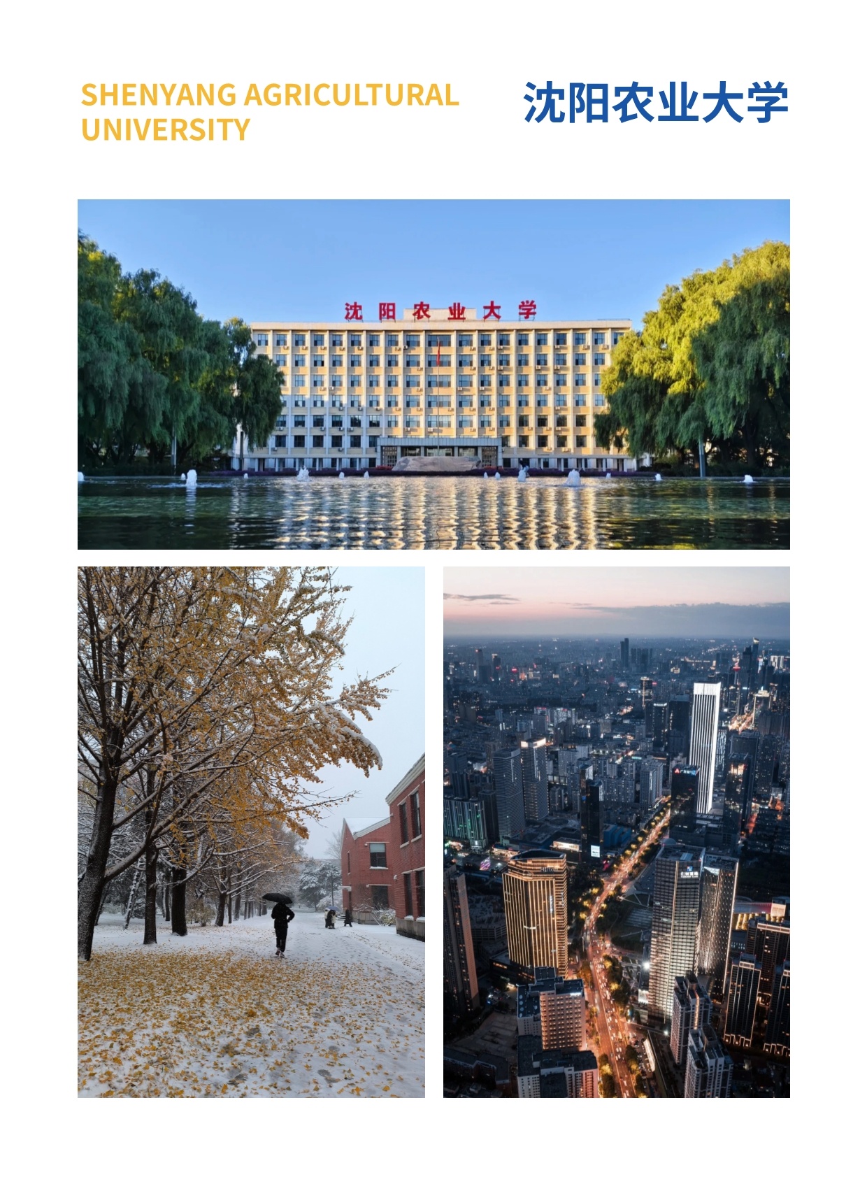 沈陽(yáng)農(nóng)業(yè)大學(xué)與匈牙利賽格德大學(xué) 農(nóng)村發(fā)展碩士